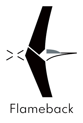 Flameback Device mark 6756848 Trademark