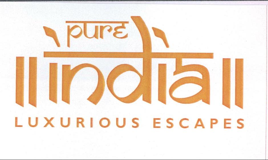 Pure India Device mark 2198685 Trademark