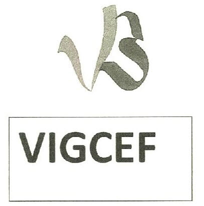 Vb Vigcef Device mark 2746493 Trademark