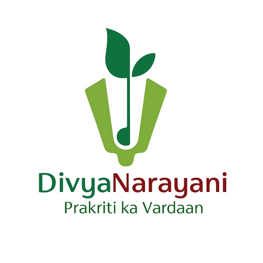 Divyanarayani Device mark 6772006 Trademark