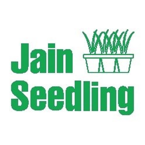 Jain Seedling Device mark 6795064 Trademark