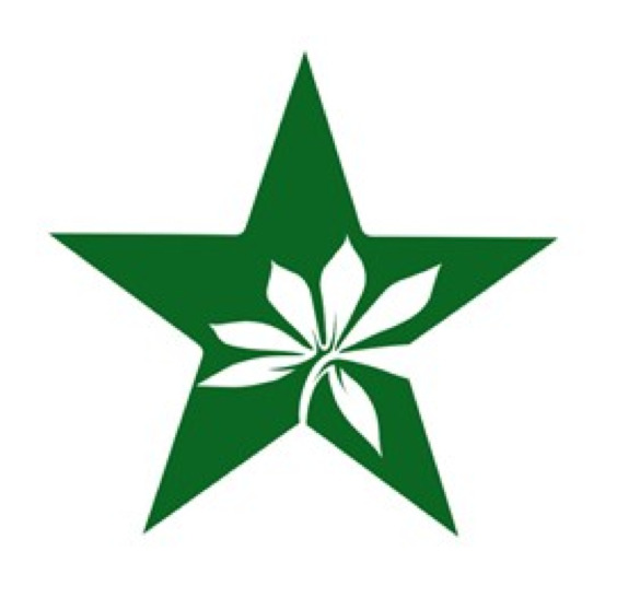 Star Containing A Flower Device mark 6799424 Trademark
