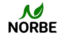 Norbe Device mark 6803353 Trademark