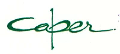 Caper Device mark 6805909 Trademark
