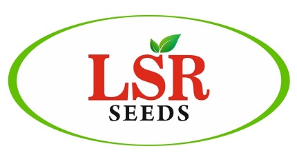 Lsr Seeds Device mark 6809368 Trademark