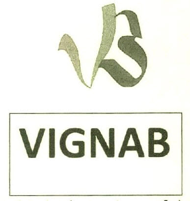 Vb Vignab Device mark 2746499 Trademark