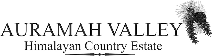 Auramah Valley Logo Device mark 6813455 Trademark
