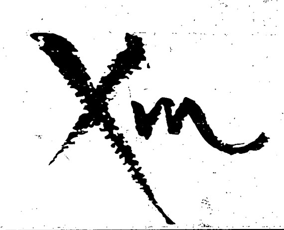 Xm Device mark 6818610 Trademark