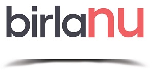 Birlanu Device mark 6821147 Trademark
