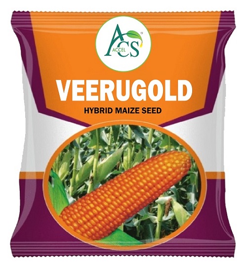 Acs Accel Veerugold Device mark 6827556 Trademark