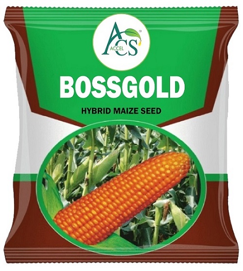 Acs Accel Bossgold Device mark 6827554 Trademark