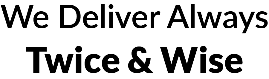 We Deliver Always Twice & Wise Device mark 6831211 Trademark