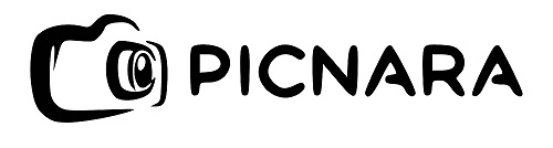 Picnara Device mark 6836954 Trademark