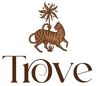 Trove Device mark 6838317 Trademark