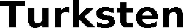 Turksten Device mark 6857273 Trademark