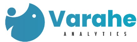 Varahe Analytics Device mark 6861134 Trademark