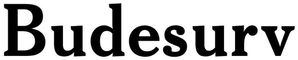 Budesurv Device mark 6861924 Trademark