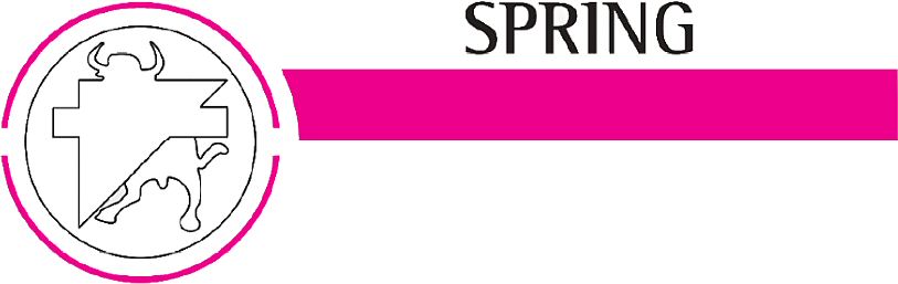 Spring Device mark 6865039 Trademark