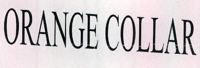 Orange Collar Device mark 2422757 Trademark