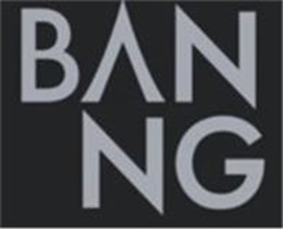 Banng Device mark 6872418 Trademark