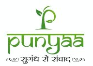 Punyaa Device mark 6884930 Trademark