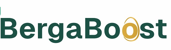 Bergaboost Device mark 6886870 Trademark