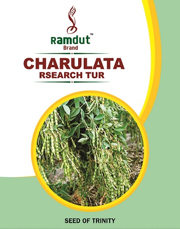 Charulata Device mark 6889468 Trademark