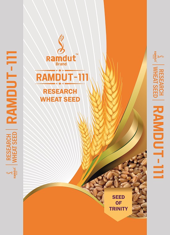 Ramdut-111 Device mark 6889471 Trademark