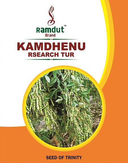 Kamdhenu Device mark 6889469 Trademark
