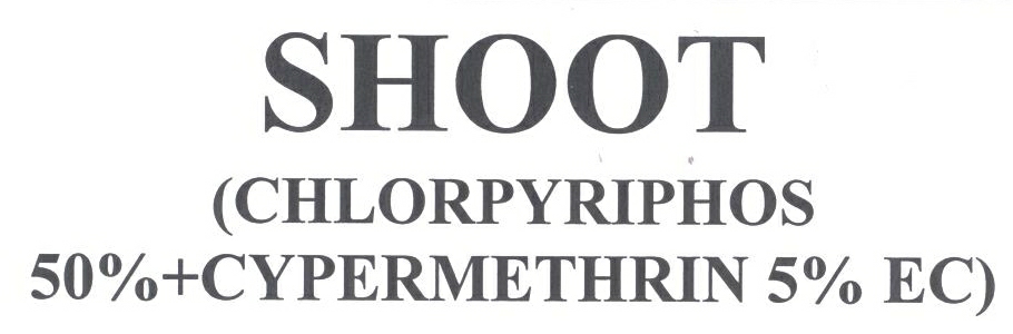 Shoot Device mark 2197352 Trademark