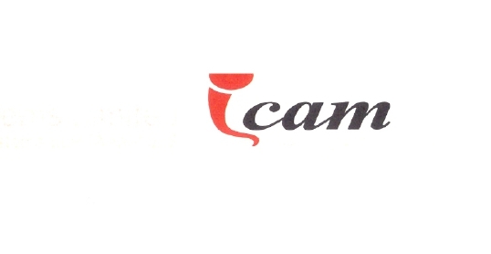 Icam Device mark 6895216 Trademark
