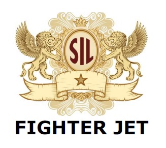 Fighter Jet With Company's Logo Sil Device mark 6895885 Trademark