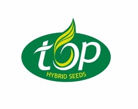 Top Hybrid Seeds Device mark 6900702 Trademark