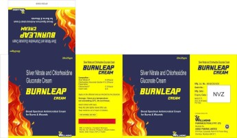 Burnleap Device mark 6900995 Trademark