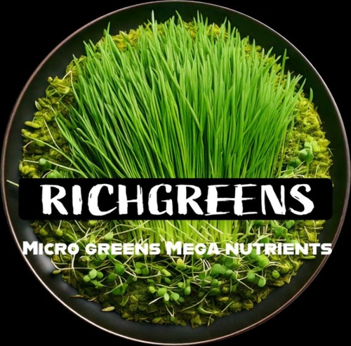 Richgreens With A Tagline Micro Greens Mega Nutrients With Device Device mark 6905034 Trademark