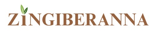 Zingiberanna Device mark 6906852 Trademark