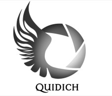 Device Of Quidich Device mark 6910008 Trademark