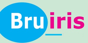 Bruiris Device mark 6911172 Trademark