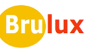Brulux Device mark 6911176 Trademark
