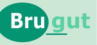 Brugut Device mark 6911173 Trademark
