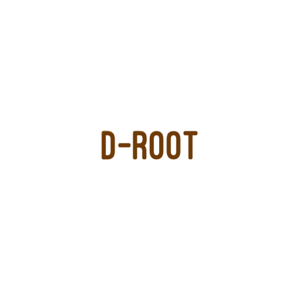 D-root Device mark 6917250 Trademark