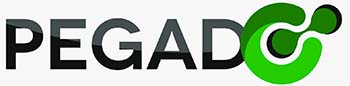 Pegado Device mark 6925206 Trademark
