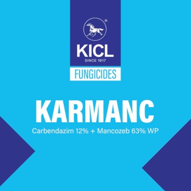 Karmanc Device mark 6928964 Trademark