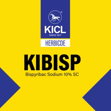 Kibisp Device mark 6928961 Trademark