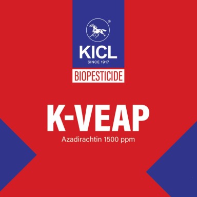 K-veap Device mark 6928960 Trademark