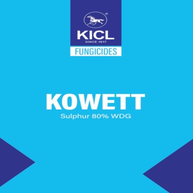 Kowett Device mark 6928966 Trademark