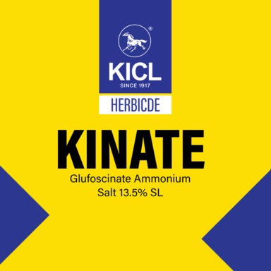 Kinate Device mark 6928962 Trademark