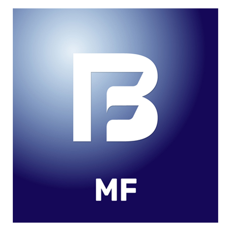 B Device mark 6930539 Trademark