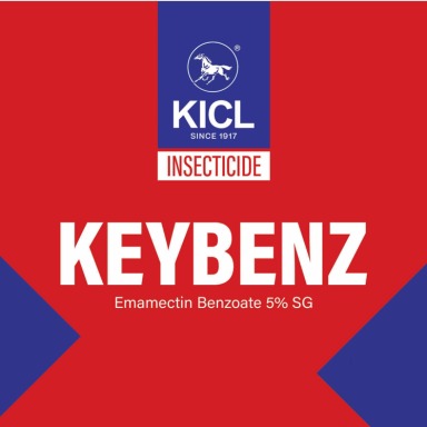 Keybenz Device mark 6928948 Trademark