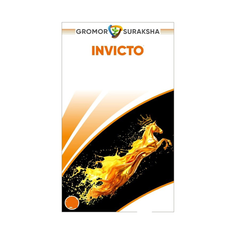 Invicto Device mark 6939923 Trademark